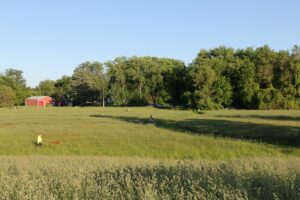 A team performing a "quick search" in a field.