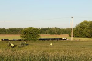 Another team performing a "quick search" in a field.