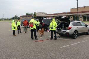 Preparing for a Trailing run with Seeker and Carol.