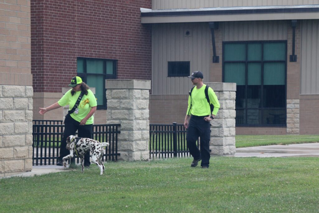 Dog and handler work as a team.