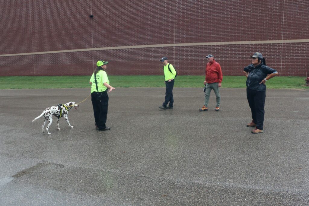 The team discussing this exercise.